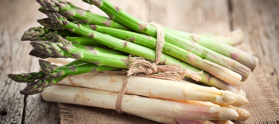 Spargel-Karte